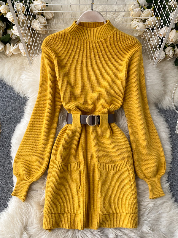Long Sleeved Knitted Dress for Women High-End Autumn and Winter New Wine  Red Long Dress with Wool Underneath - China Dress and Dress for Women price